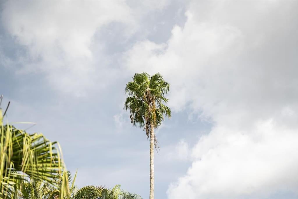 Bay Breeze Aparthotel South Bradenton ภายนอก รูปภาพ